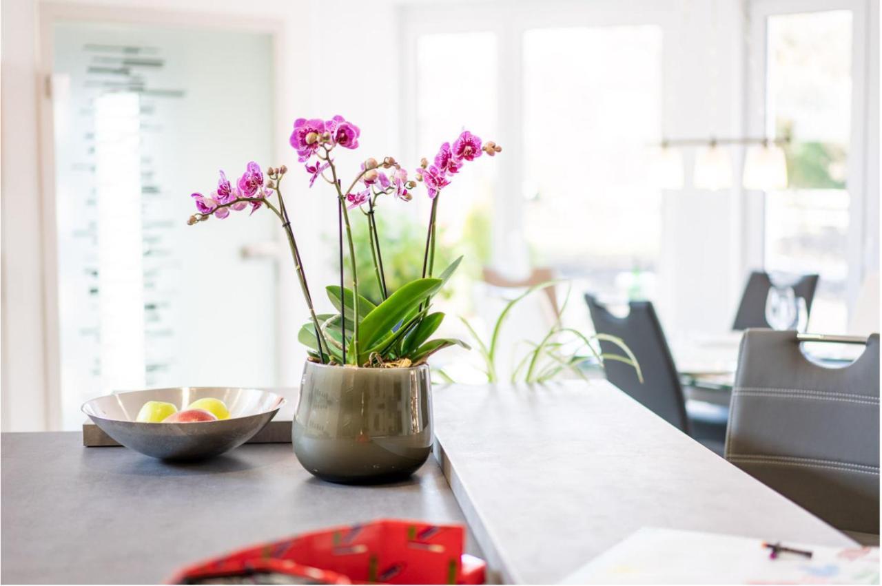 Ferienwohnung Birkenried Reisensburg Buitenkant foto